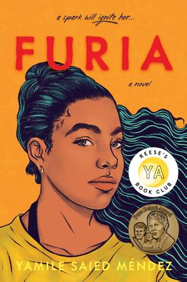furia book cover